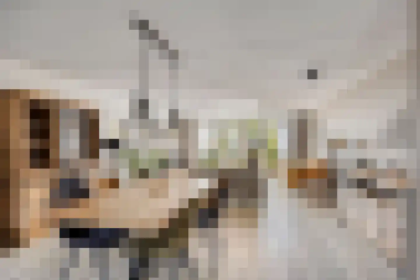 Naardermeer 89 Purmerend thumbnail 7