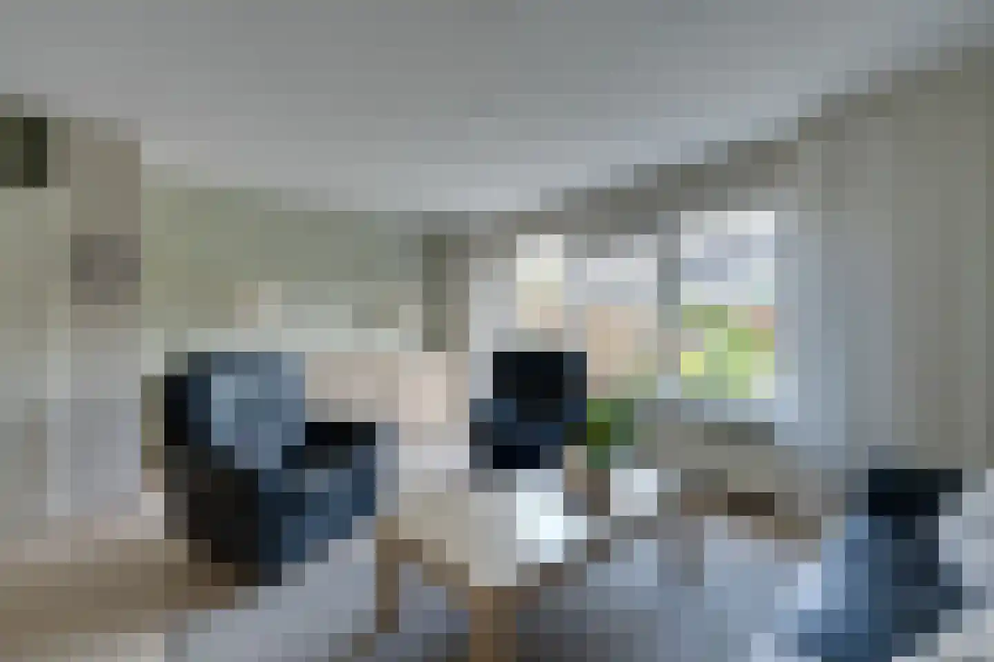 Naardermeer 9 Purmerend thumbnail 14