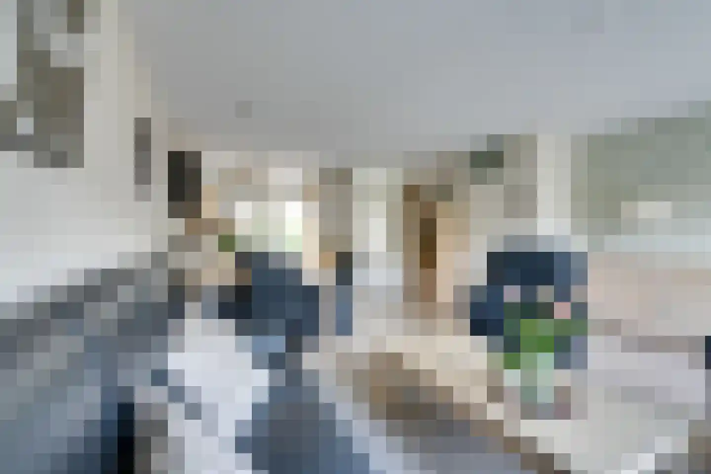 Naardermeer 9 Purmerend thumbnail 16