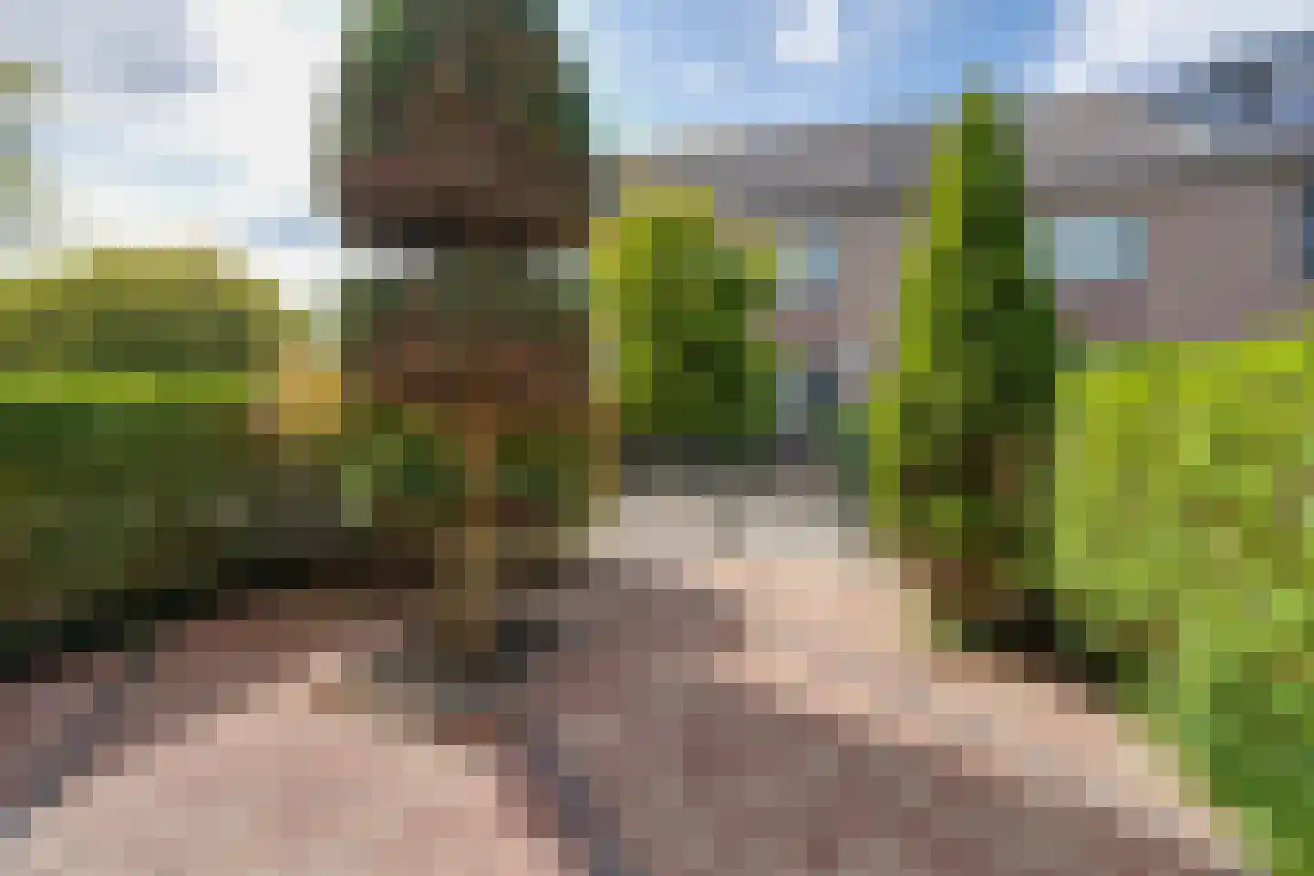 Naardermeer 9 Purmerend thumbnail 8