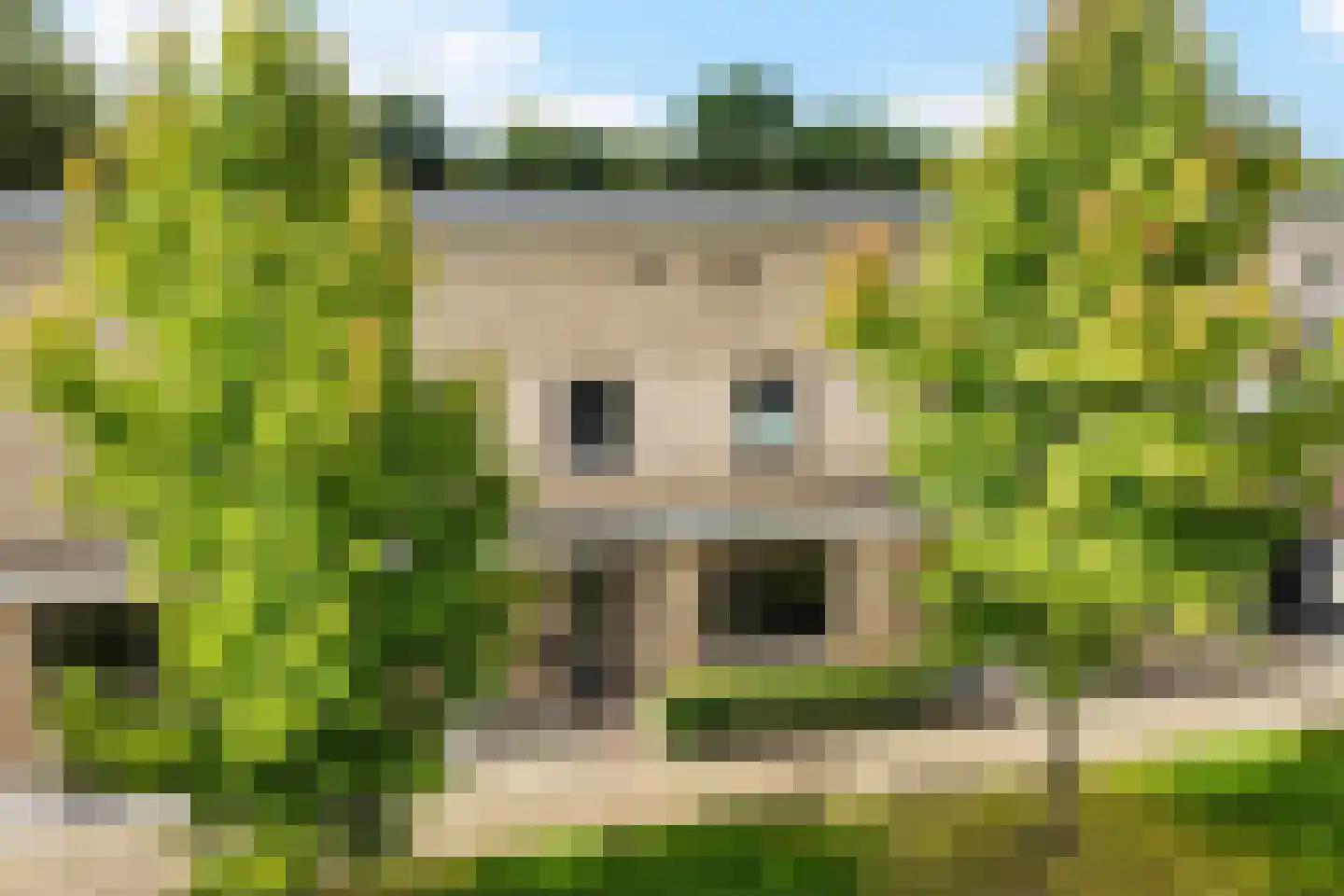 Naardermeerstraat 10 Heerenveen thumbnail 46
