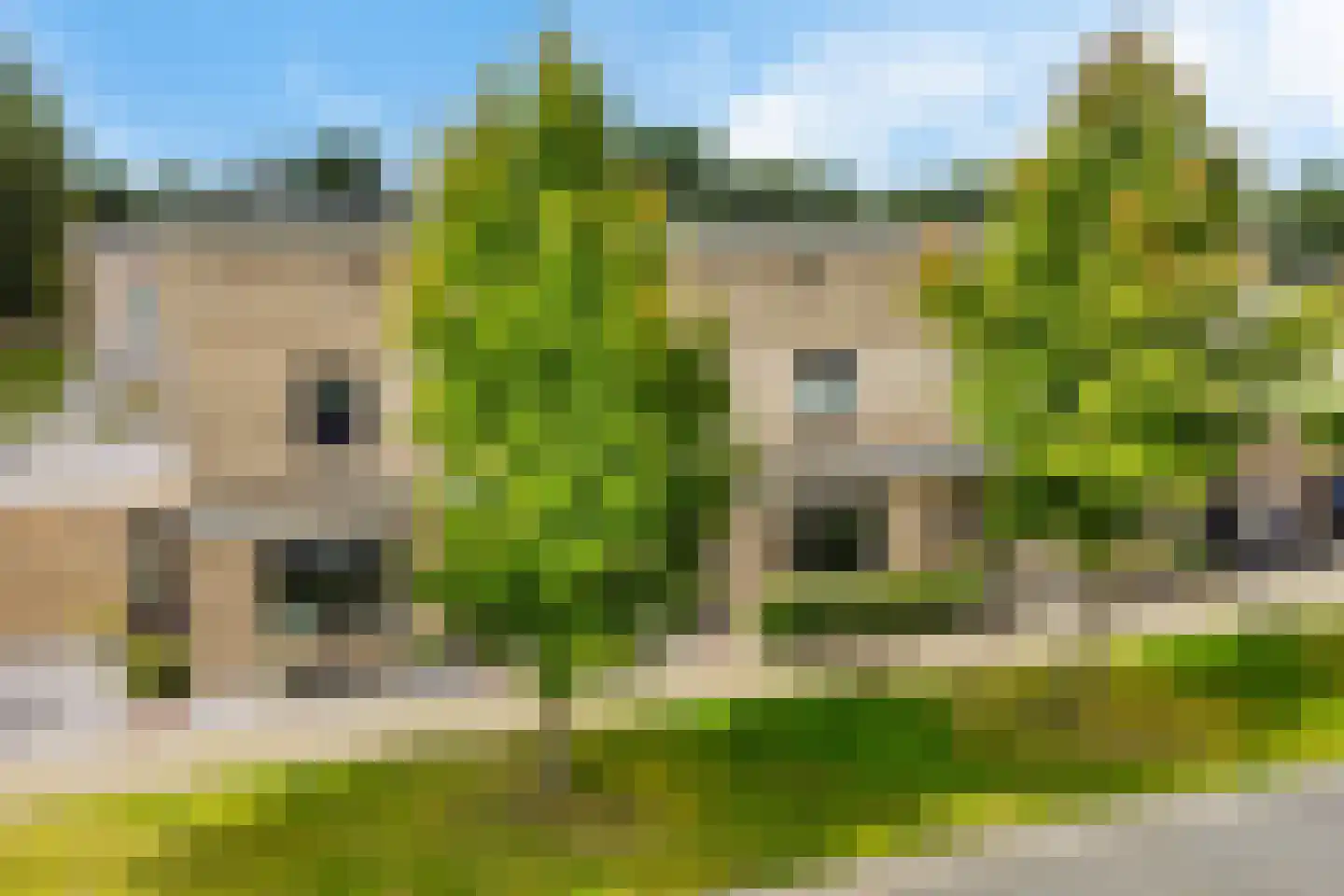 Naardermeerstraat 10 Heerenveen thumbnail 47