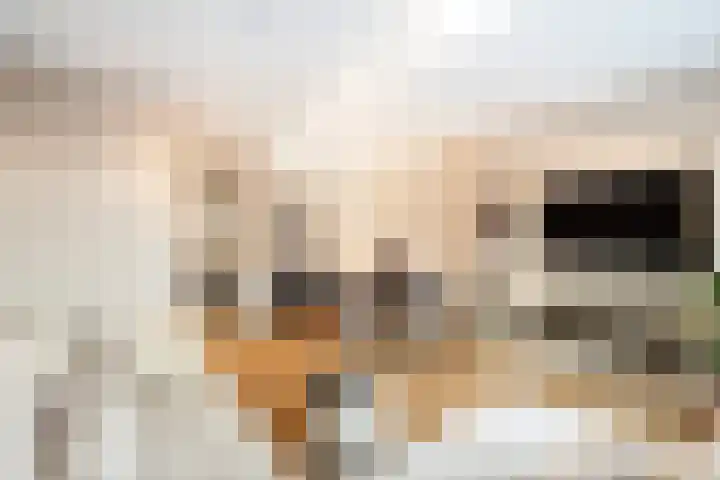 Naardermeerstraat 20 a Berkel en Rodenrijs thumbnail 18