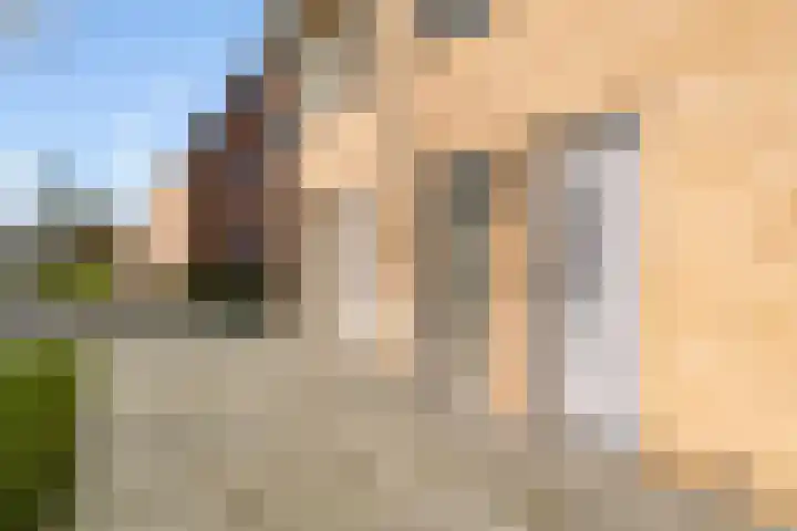 Naardermeerstraat 20 a Berkel en Rodenrijs thumbnail 7