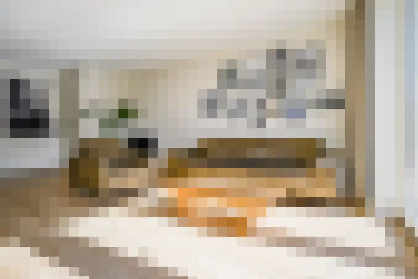Naardermeerstraat 33 Berkel en Rodenrijs thumbnail 12