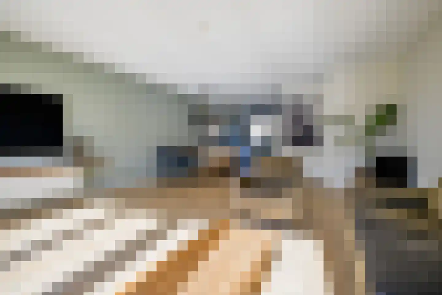 Naardermeerstraat 33 Berkel en Rodenrijs thumbnail 13