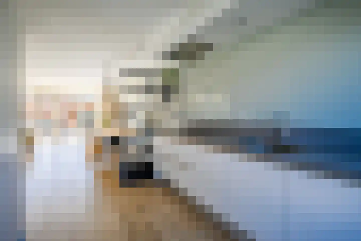 Naardermeerstraat 33 Berkel en Rodenrijs thumbnail 17