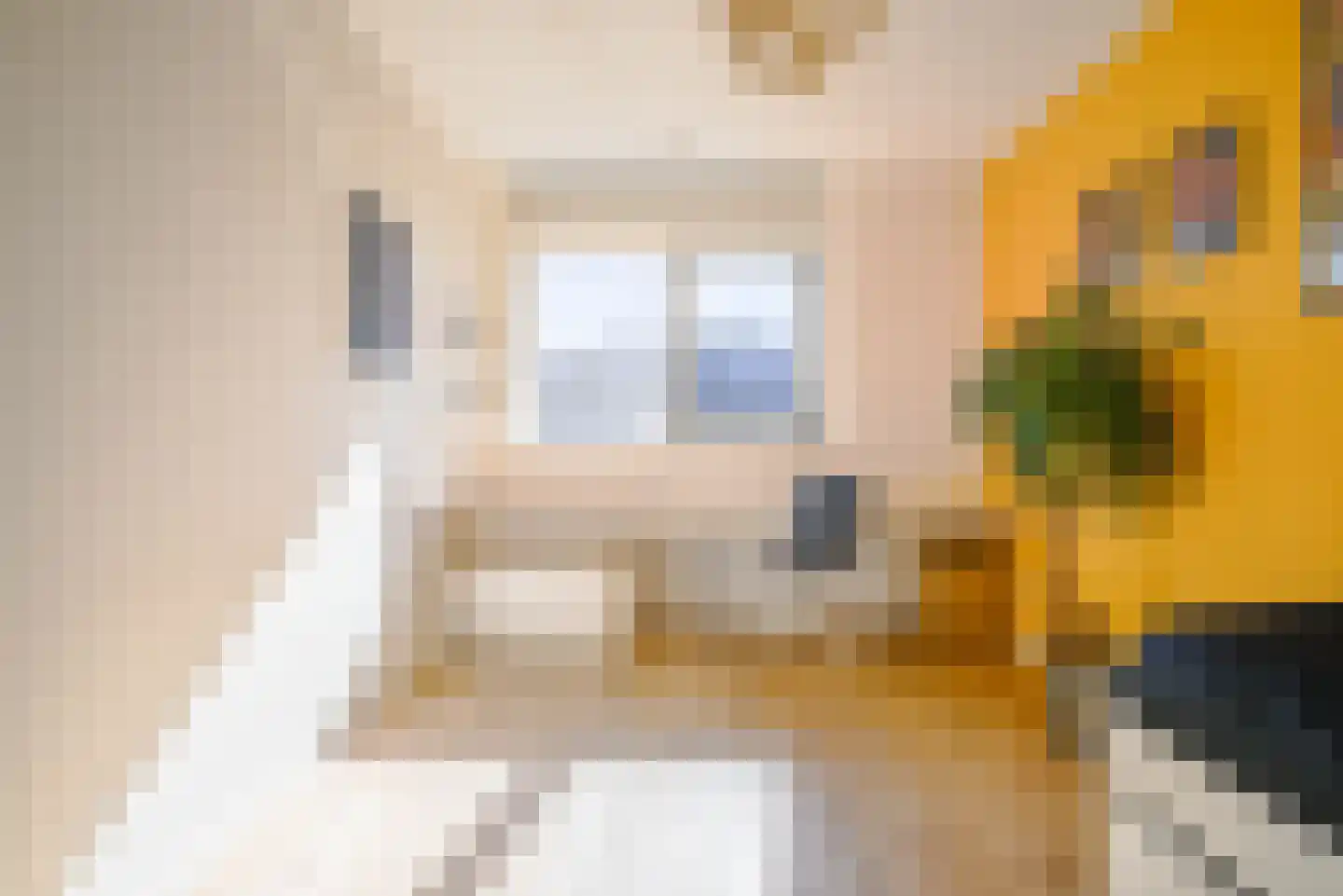 Naardermeerstraat 33 Berkel en Rodenrijs thumbnail 26