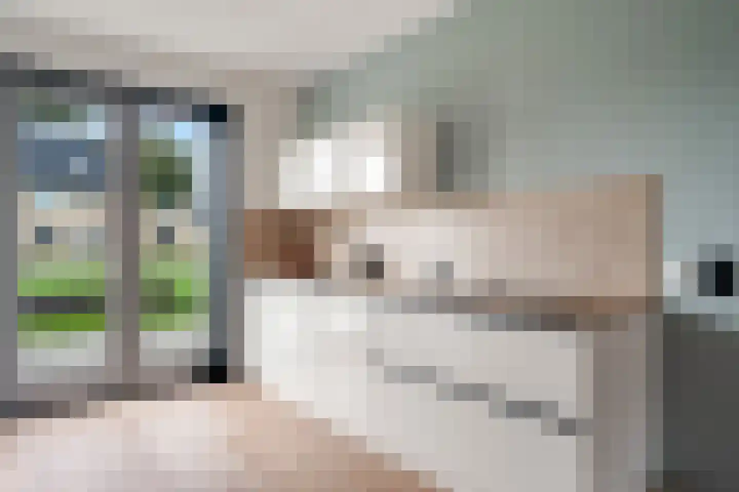 Naardermeerstraat 4 Berkel en Rodenrijs thumbnail 17