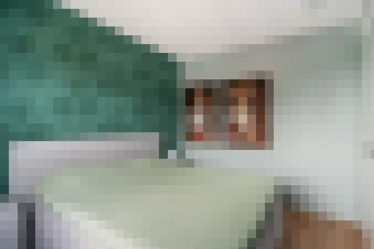 Naardermeerstraat 4 Berkel en Rodenrijs thumbnail 21