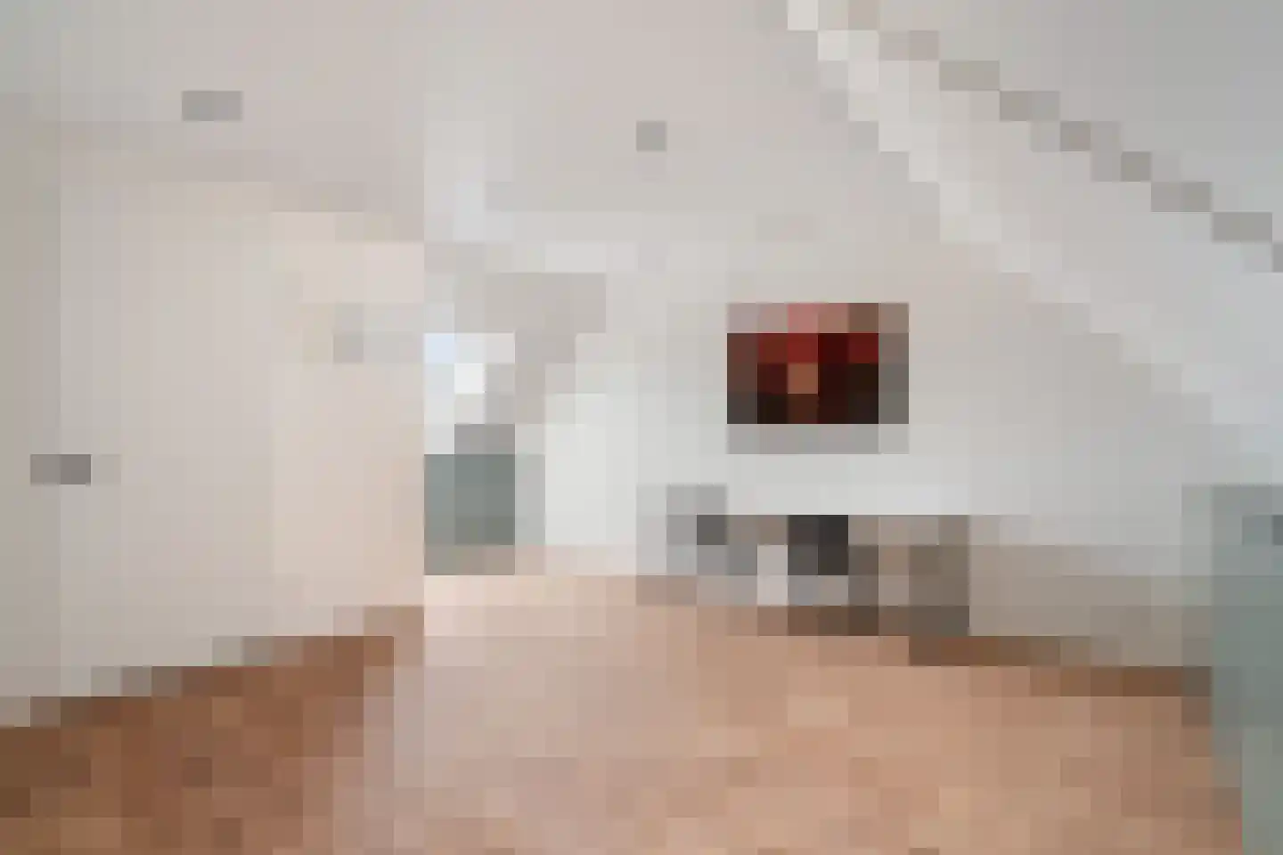 Naardermeerstraat 4 Berkel en Rodenrijs thumbnail 35