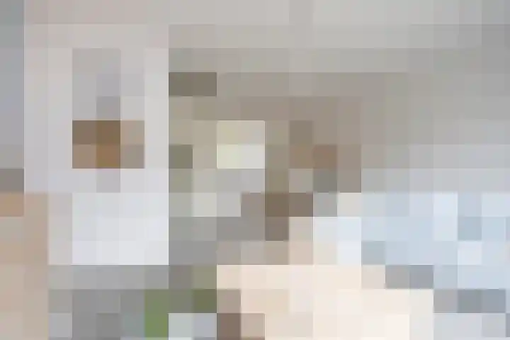 Naardermeerstraat 40 Berkel en Rodenrijs thumbnail 10