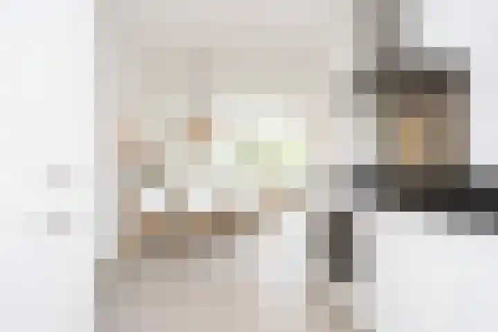 Naardermeerstraat 40 Berkel en Rodenrijs thumbnail 15