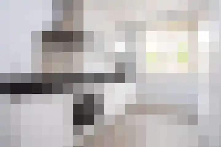 Naardermeerstraat 40 Berkel en Rodenrijs thumbnail 16