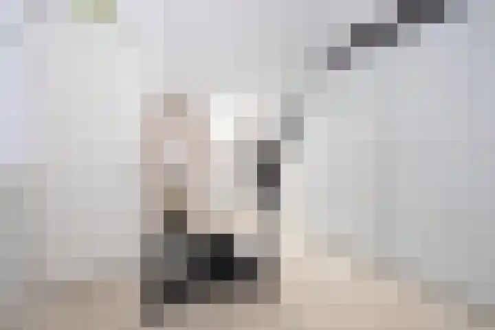 Naardermeerstraat 40 Berkel en Rodenrijs thumbnail 30