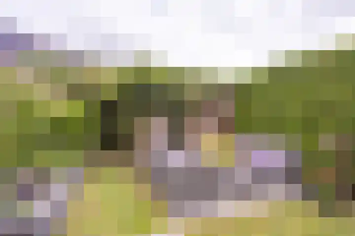 Naardermeerstraat 40 Berkel en Rodenrijs thumbnail 33
