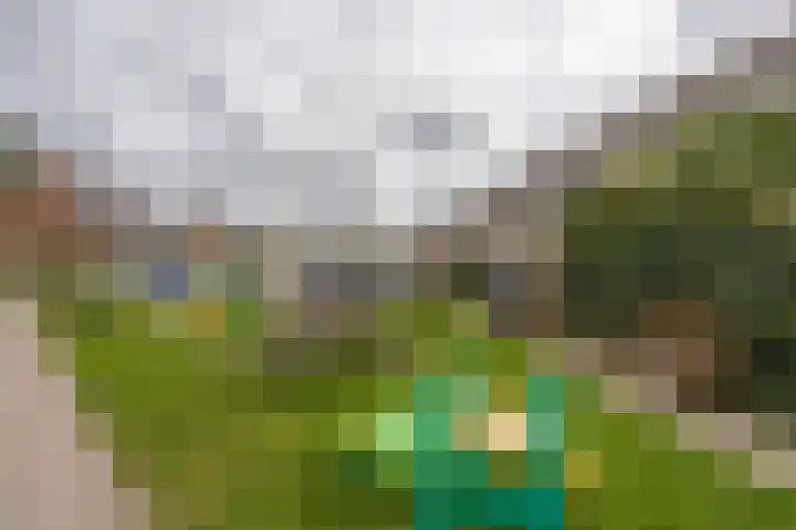Naardermeerstraat 40 Berkel en Rodenrijs thumbnail 39
