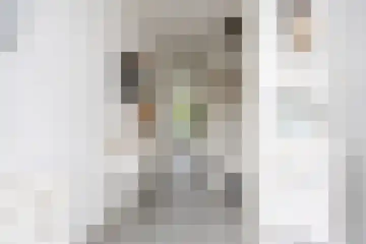 Naardermeerstraat 40 Berkel en Rodenrijs thumbnail 5