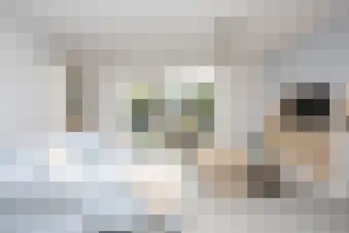 Naardermeerstraat 40 Berkel en Rodenrijs thumbnail 7