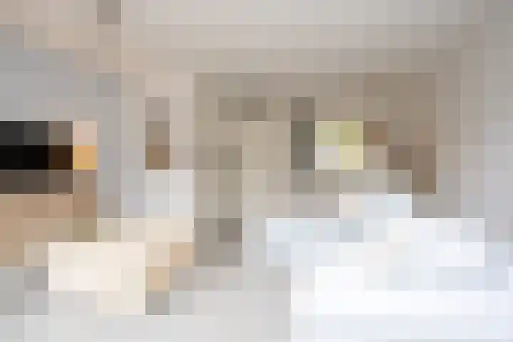 Naardermeerstraat 40 Berkel en Rodenrijs thumbnail 9