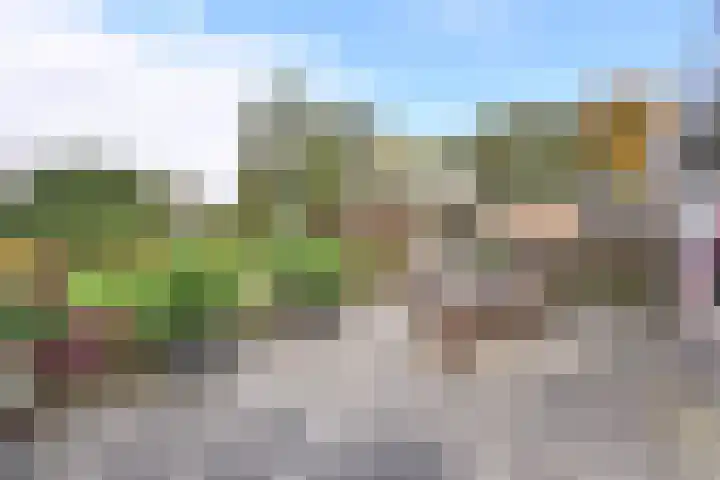 Naarderstraat 114 Huizen thumbnail 17