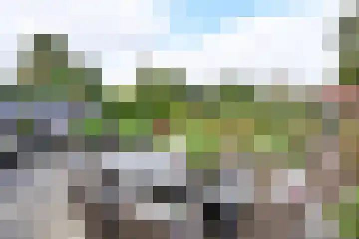 Naarderstraat 114 Huizen thumbnail 18