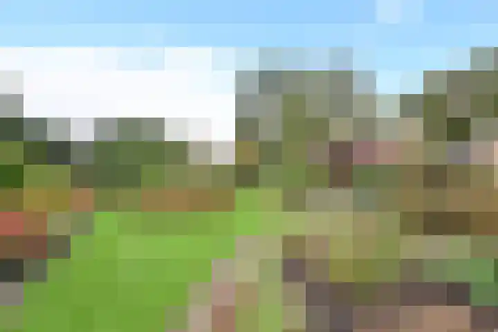 Naarderstraat 114 Huizen thumbnail 4
