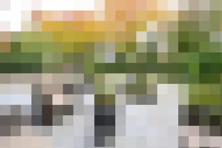 Naarderstraat 114 Huizen thumbnail 6