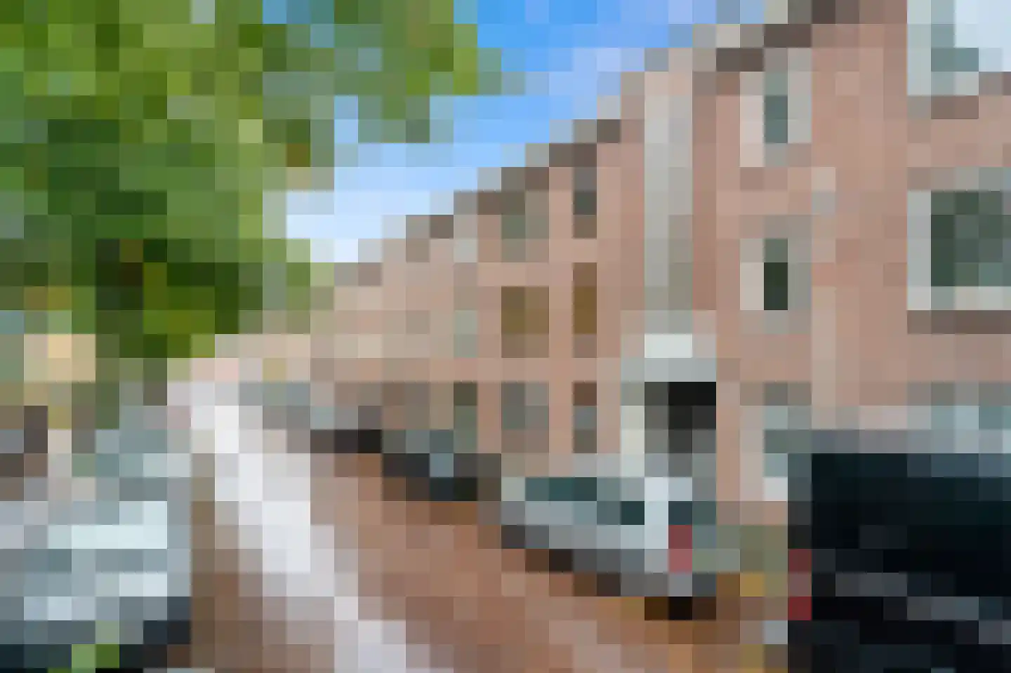 Naarderstraat 141 Den Haag thumbnail 21