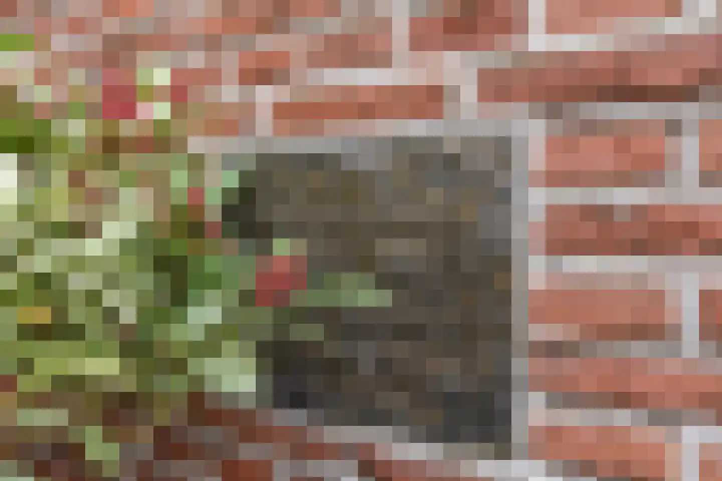 Naarderstraat 20 Muiden thumbnail 20