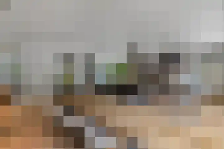 Naarderstraat 223 Huizen thumbnail 11