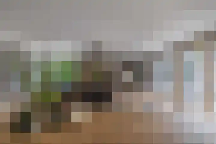 Naarderstraat 223 Huizen thumbnail 12