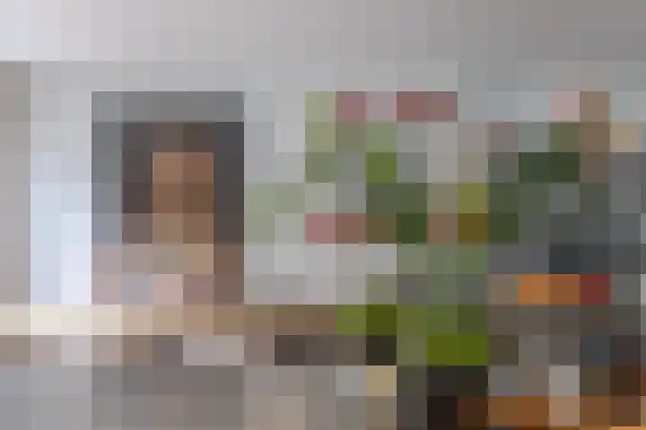 Naarderstraat 223 Huizen thumbnail 18