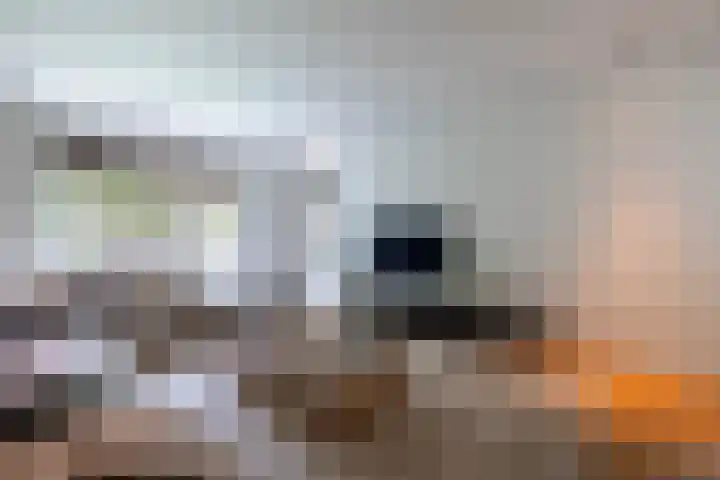 Naarderstraat 223 Huizen thumbnail 20