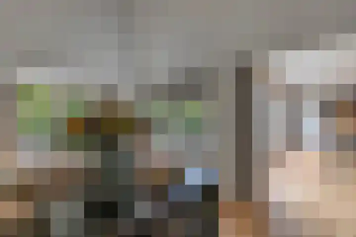 Naarderstraat 223 Huizen thumbnail 21