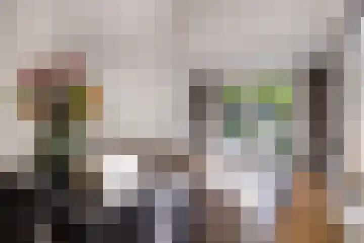 Naarderstraat 223 Huizen thumbnail 22