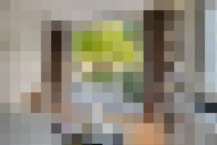 Naarderstraat 223 Huizen thumbnail 24