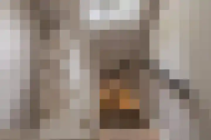 Naarderstraat 223 Huizen thumbnail 30