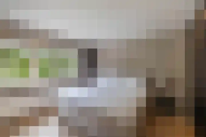 Naarderstraat 223 Huizen thumbnail 32
