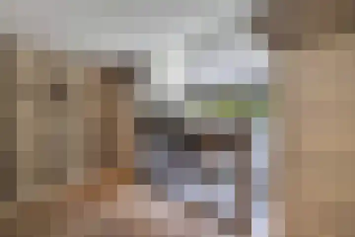 Naarderstraat 223 Huizen thumbnail 36