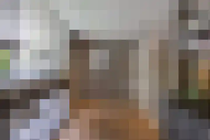 Naarderstraat 223 Huizen thumbnail 37