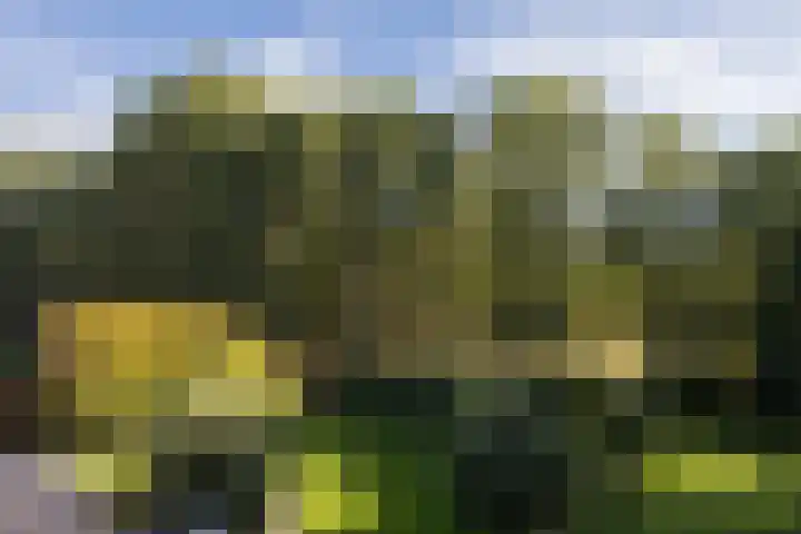Naarderstraat 223 Huizen thumbnail 44