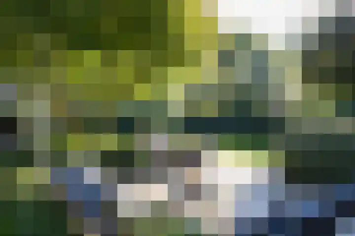 Naarderstraat 223 Huizen thumbnail 47
