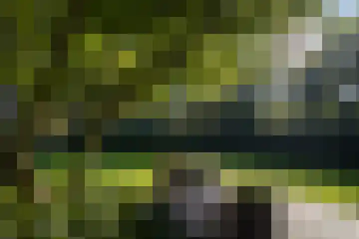 Naarderstraat 223 Huizen thumbnail 48