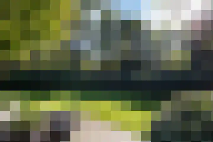 Naarderstraat 223 Huizen thumbnail 49