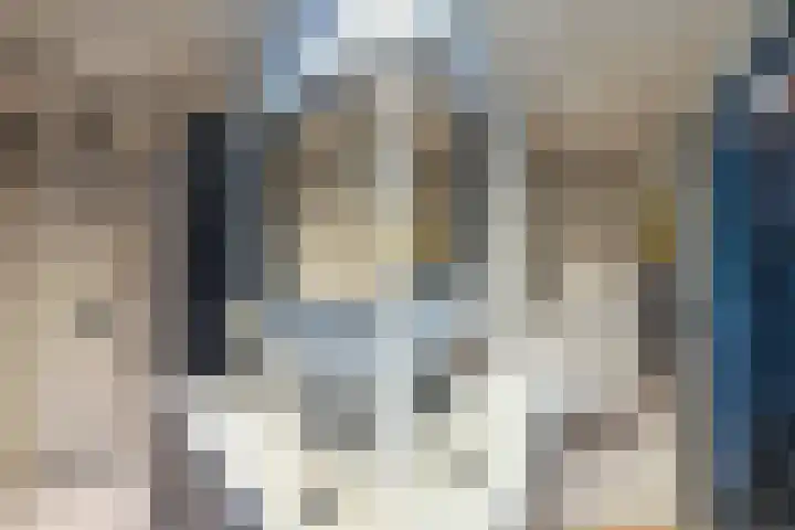 Naarderstraat 223 Huizen thumbnail 57