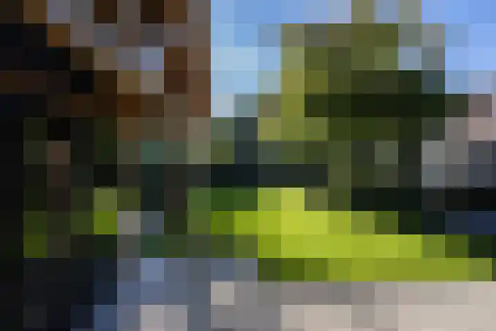 Naarderstraat 223 Huizen thumbnail 58