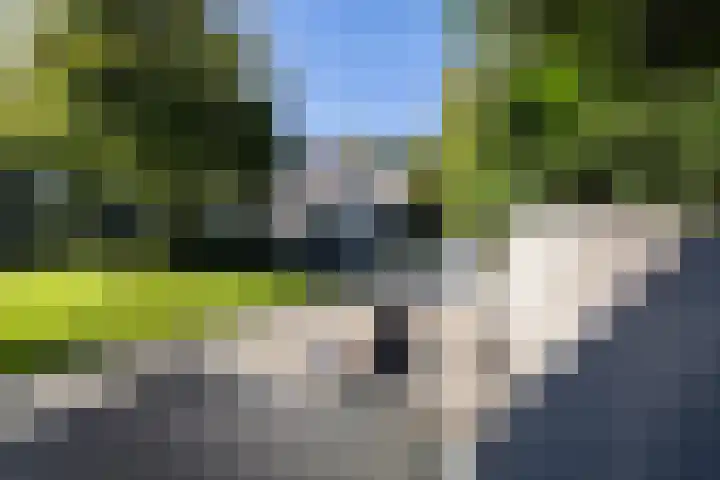 Naarderstraat 223 Huizen thumbnail 60