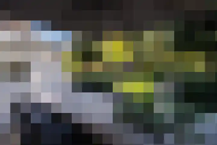 Naarderstraat 223 Huizen thumbnail 61