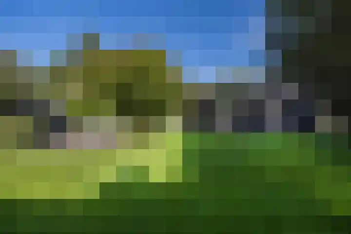 Naarderstraat 223 Huizen thumbnail 64